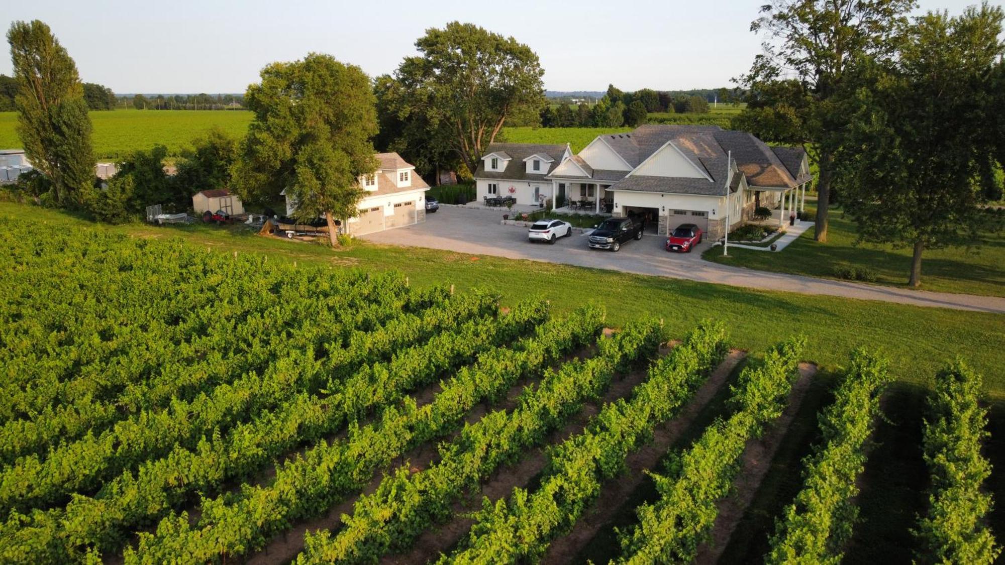 Villa In The Vines 滨湖尼亚加拉 外观 照片